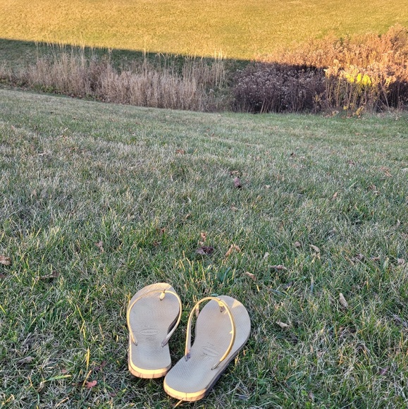 Meet your Posher, Kirsten - Picture 1 of 1